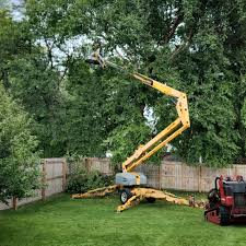 Best Utility Line Clearance  in Reynoldsburg, OH